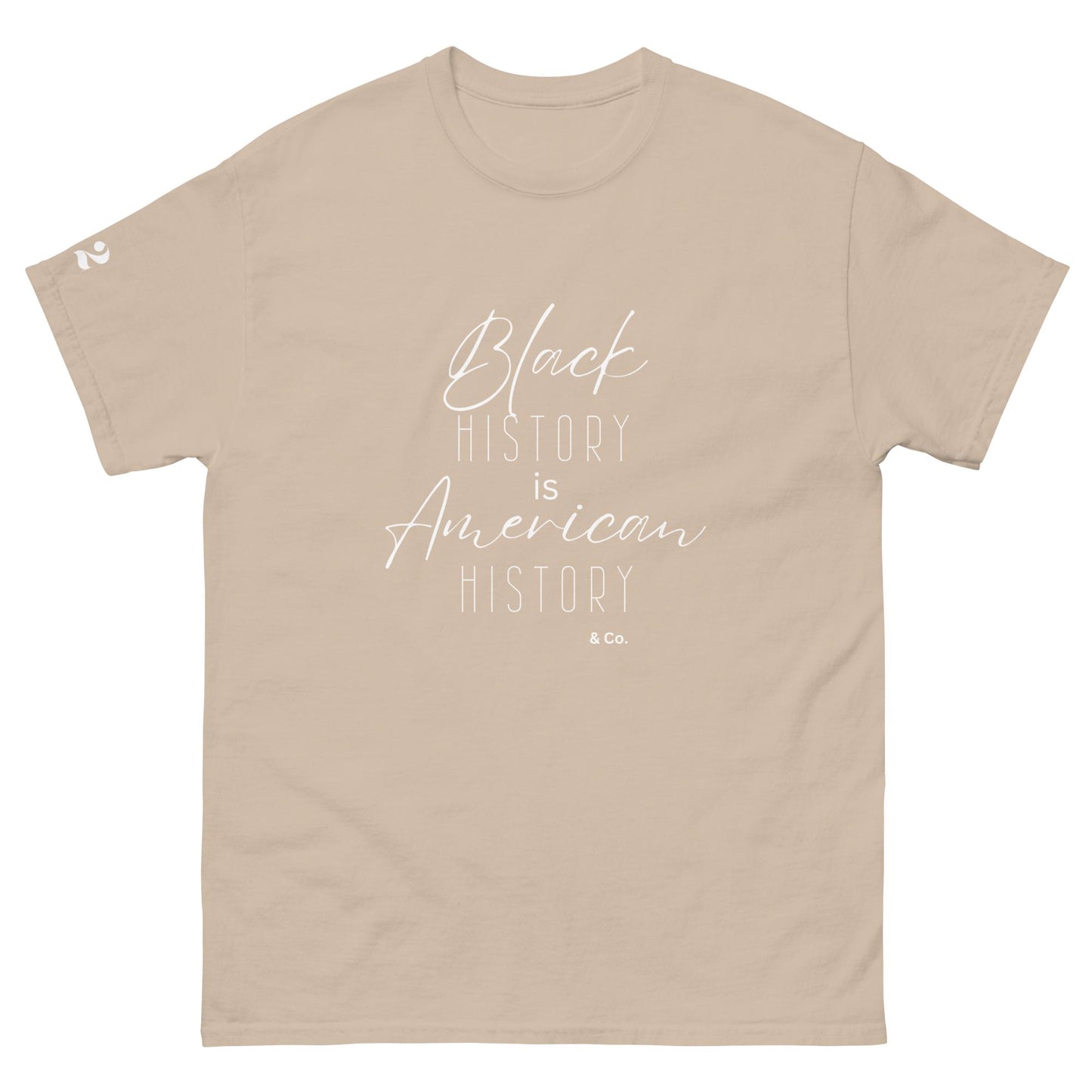 Black History is T. Shirt (Lite) | Bone